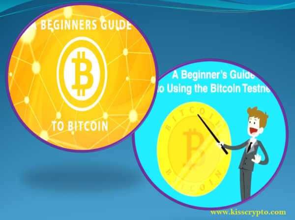 beginner’s guide for owning Bitcoins