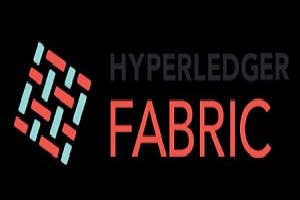  Hyperledger Fabric Releases 2.0 Version