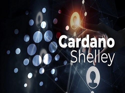 Cardano Launches Shelley Mainnet, Offers Staking Rewards to All