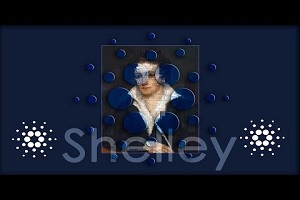 Cardano Launches Shelley Mainnet, Offers Staking Rewards to All