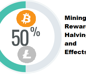 What Is Reward Halving and Its Effects