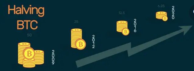 Bitcoin Reward halving- what it is and how it impacts bitcoins price ...