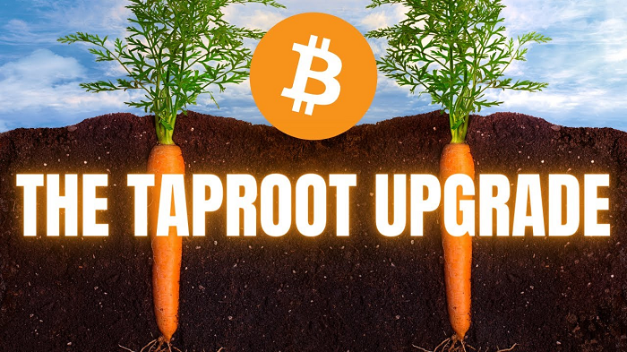What is Taproot and How will it make BTC Better? - KissCrypto.com